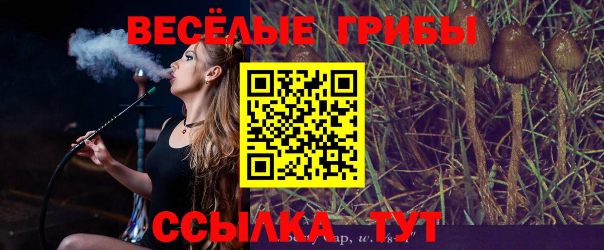 Галлюциногенные грибы Psilocybe Фролово